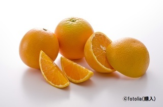 Fotolia_68556158_XS.jpg